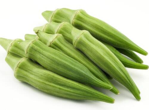 蔬菜品種:秋葵
