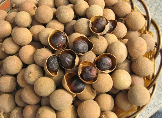 配送品種:桂圓干