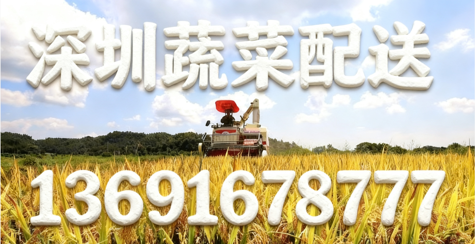 東莞蔬菜配送中心?解讀:“十五五” 怎么讓大家吃得更穩、更優?