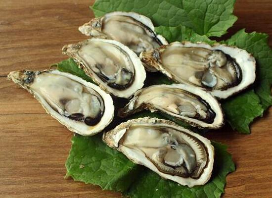 1760257190.jpg tupian_shenghao1.jpg