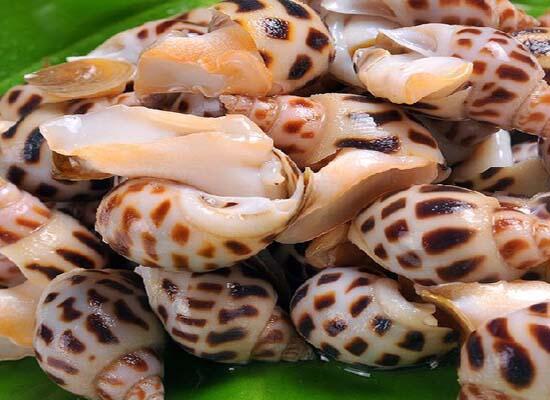 1760257430.jpg tupian_hualuo.jpg