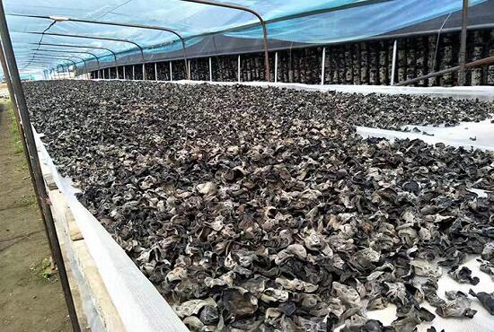 1760259869.jpg tupian_muer3.jpg