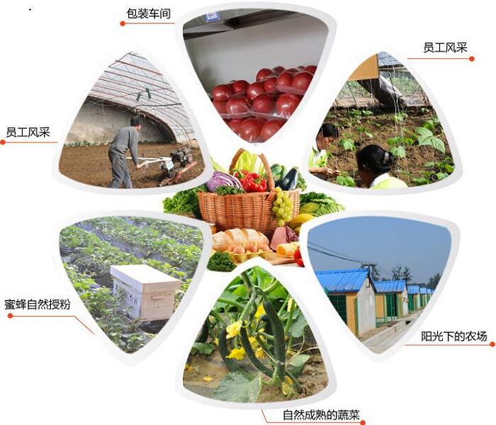 1760955904.jpg tupian_jidi20.jpg