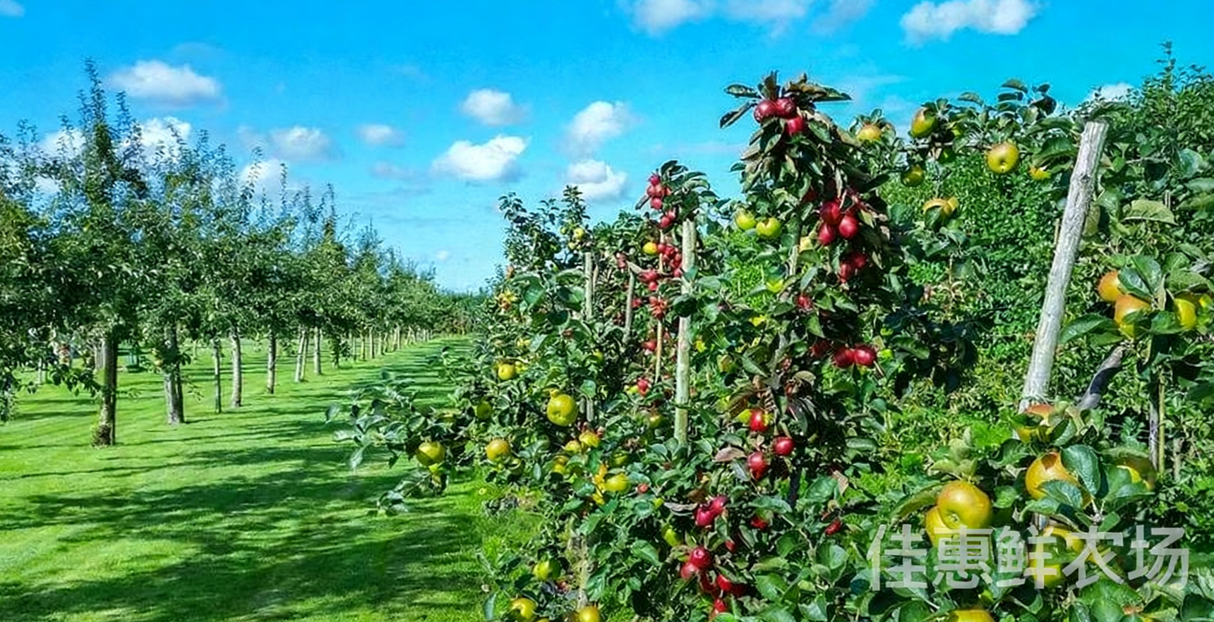 1762260926889178.png 111.png