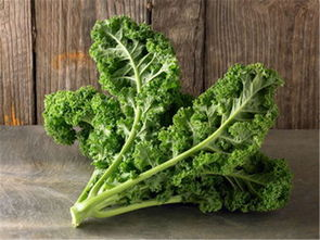 1766332444819556.png 8fd83b20-8f77-4934-8bd6-2bc5712fd2a4.png