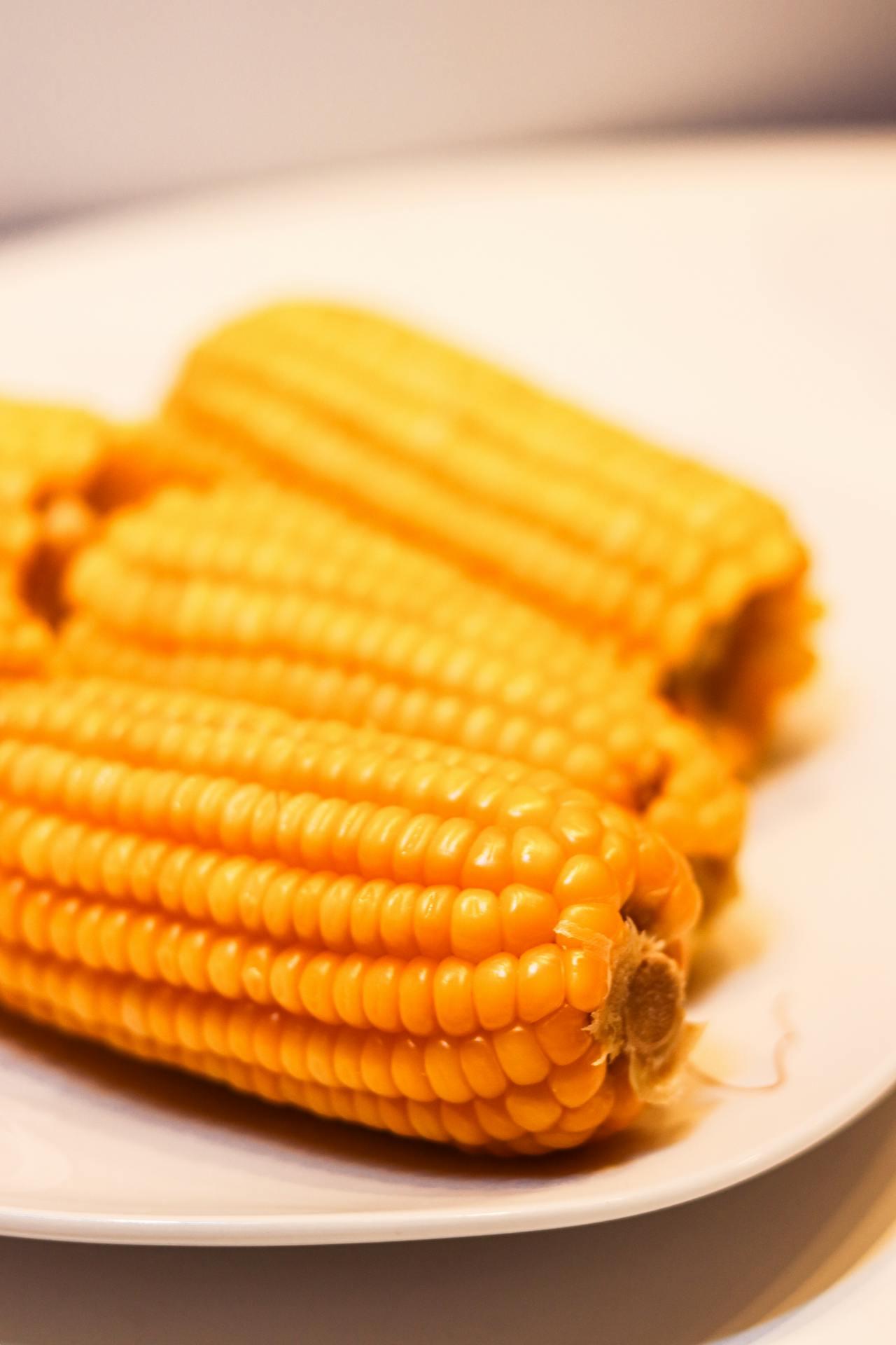 為什么煮玉米時，甜玉米比糯玉米熟得快？惠州食材配送中心為您科普