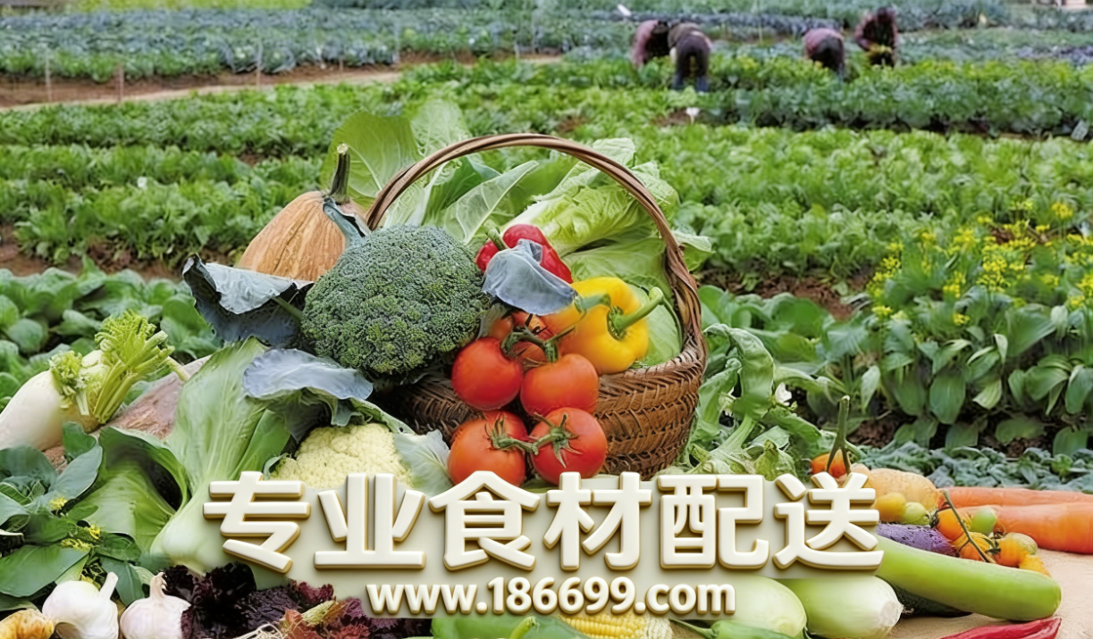 1767438316.png 36f5f658-e1cf-4688-9475-5778008341d2.png