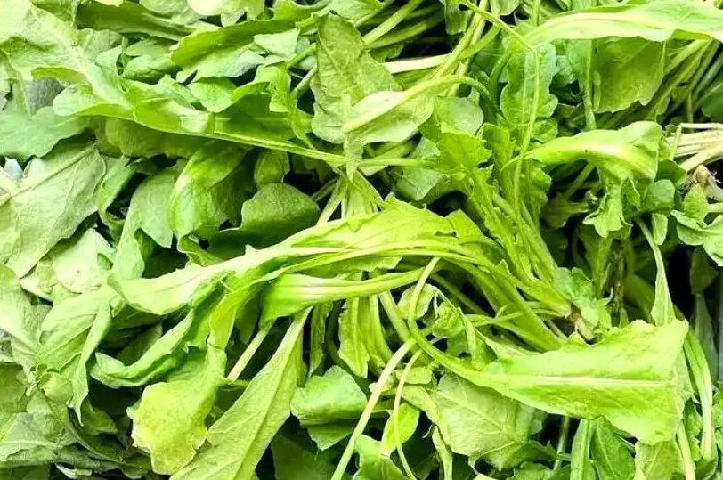 比牛奶更能補鈣的綠葉菜，你可能都沒吃對